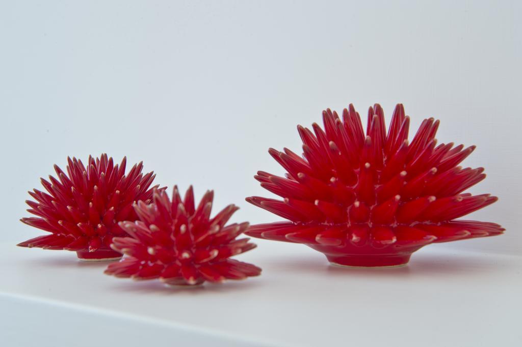 Il Corallo ปรายาโน ภายนอก รูปภาพ